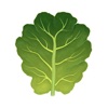 Ingredients: Healthy Recipes icon
