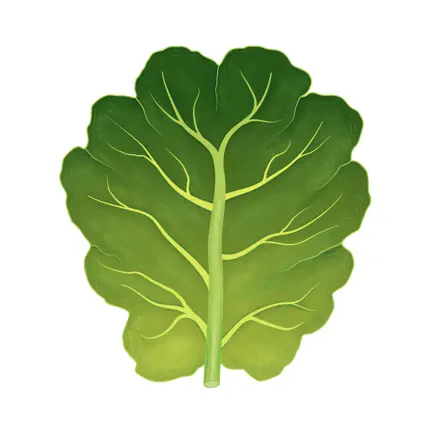 Ingredients: Healthy Recipes Читы
