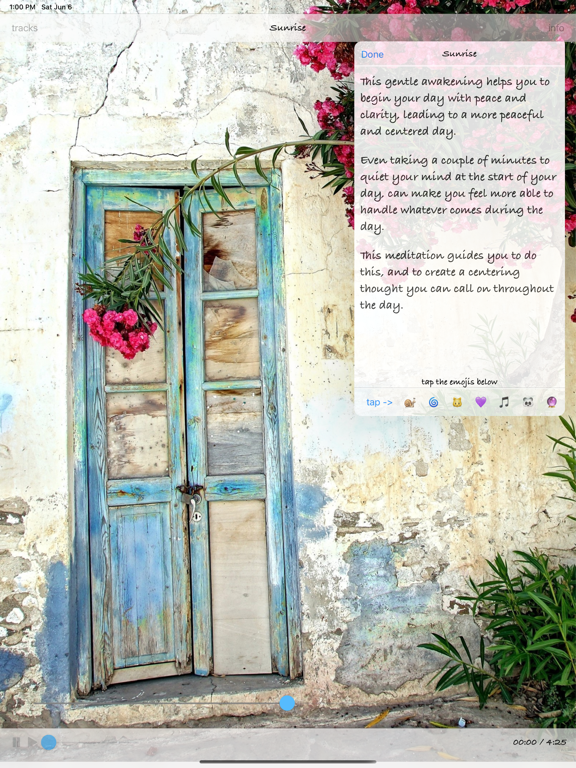 Screenshot #6 pour Mindspring