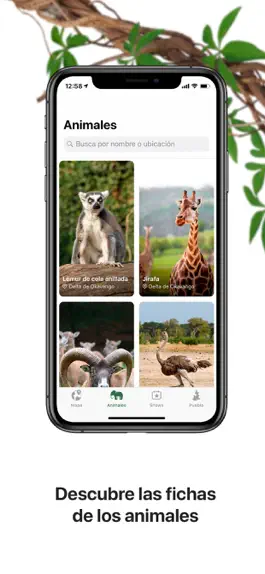 Game screenshot Africam Safari hack
