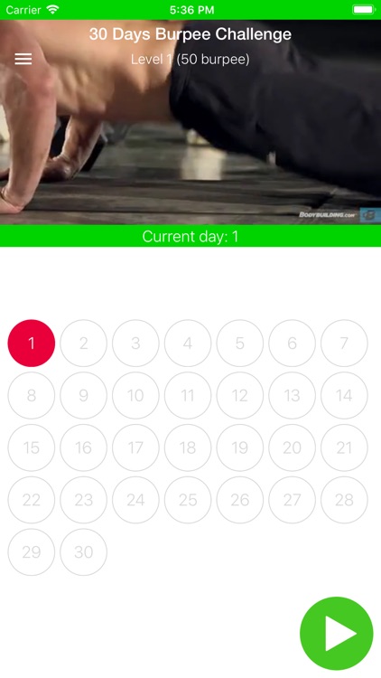Burpee Challenge 30 Days