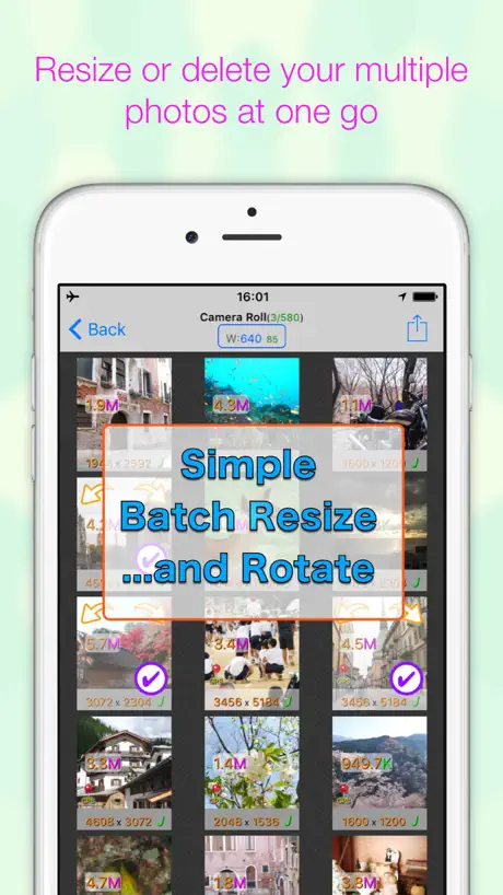 BatchResizer2