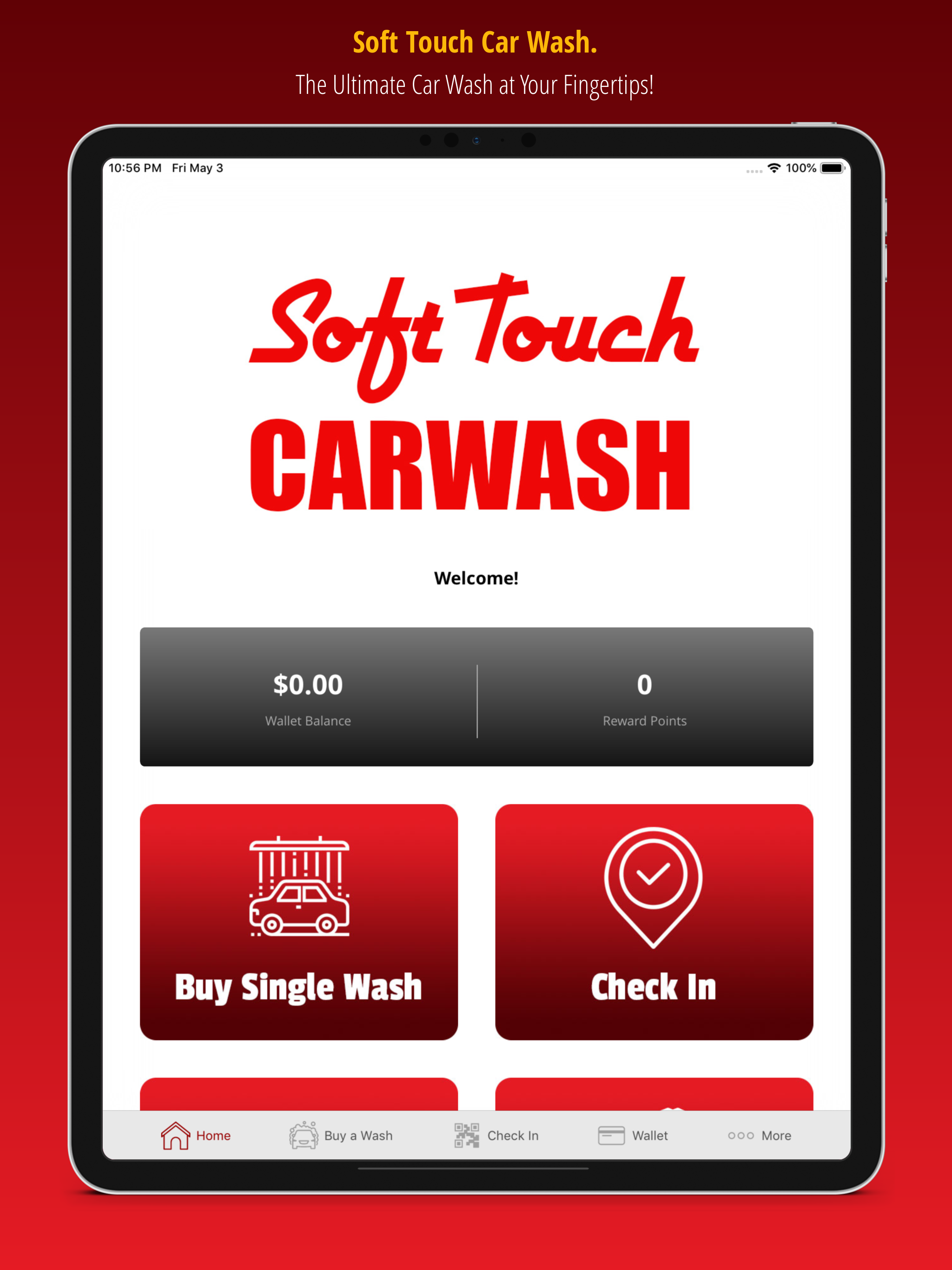 Soft Touch Car Wash Centralia screenshot 6