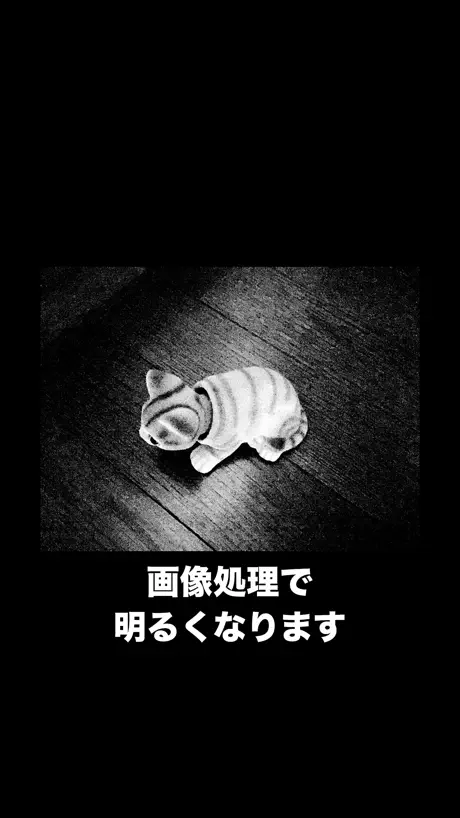 Live Photo Converter