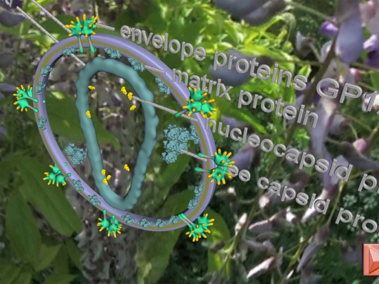Bio Virus Structure in 3D iPad screenshot