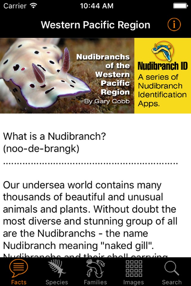 Nudibranch ID Western Pacific screenshot 2