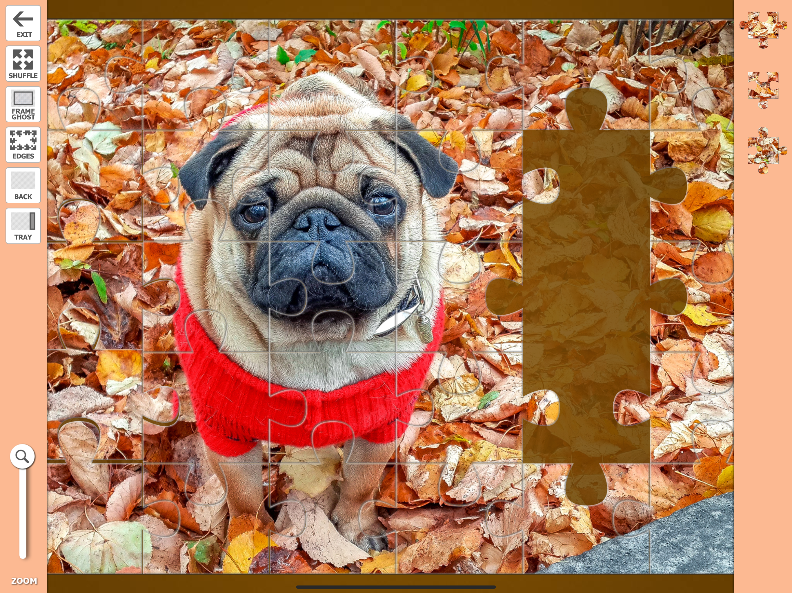 Jigsaw Puzzles for iPad Pro