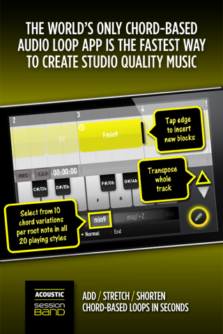 SessionBand Acoustic Guitar 1 screenshot 2