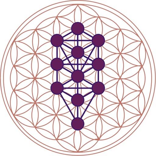 Vital Transformation - AppWisp.com