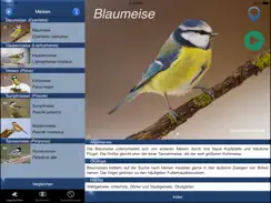 Vogel Id Schweiz iPad image 3