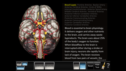 Cerebrum ID Screenshot