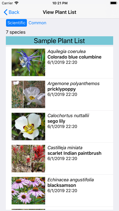 Wyoming Wildflowers Screenshot