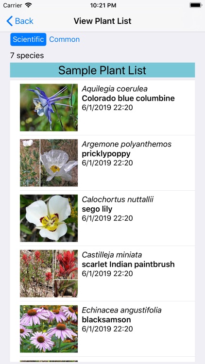 Wyoming Wildflowers screenshot-7