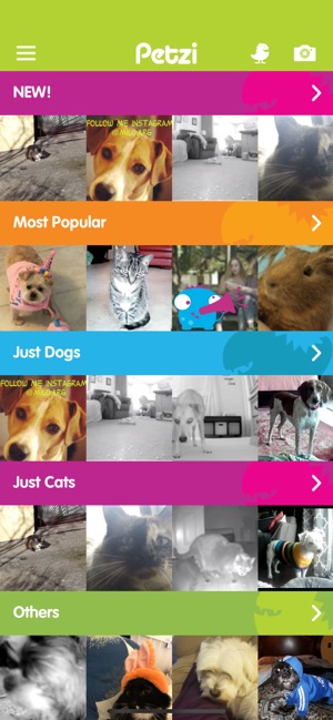 Petzi(圖1)-速報App