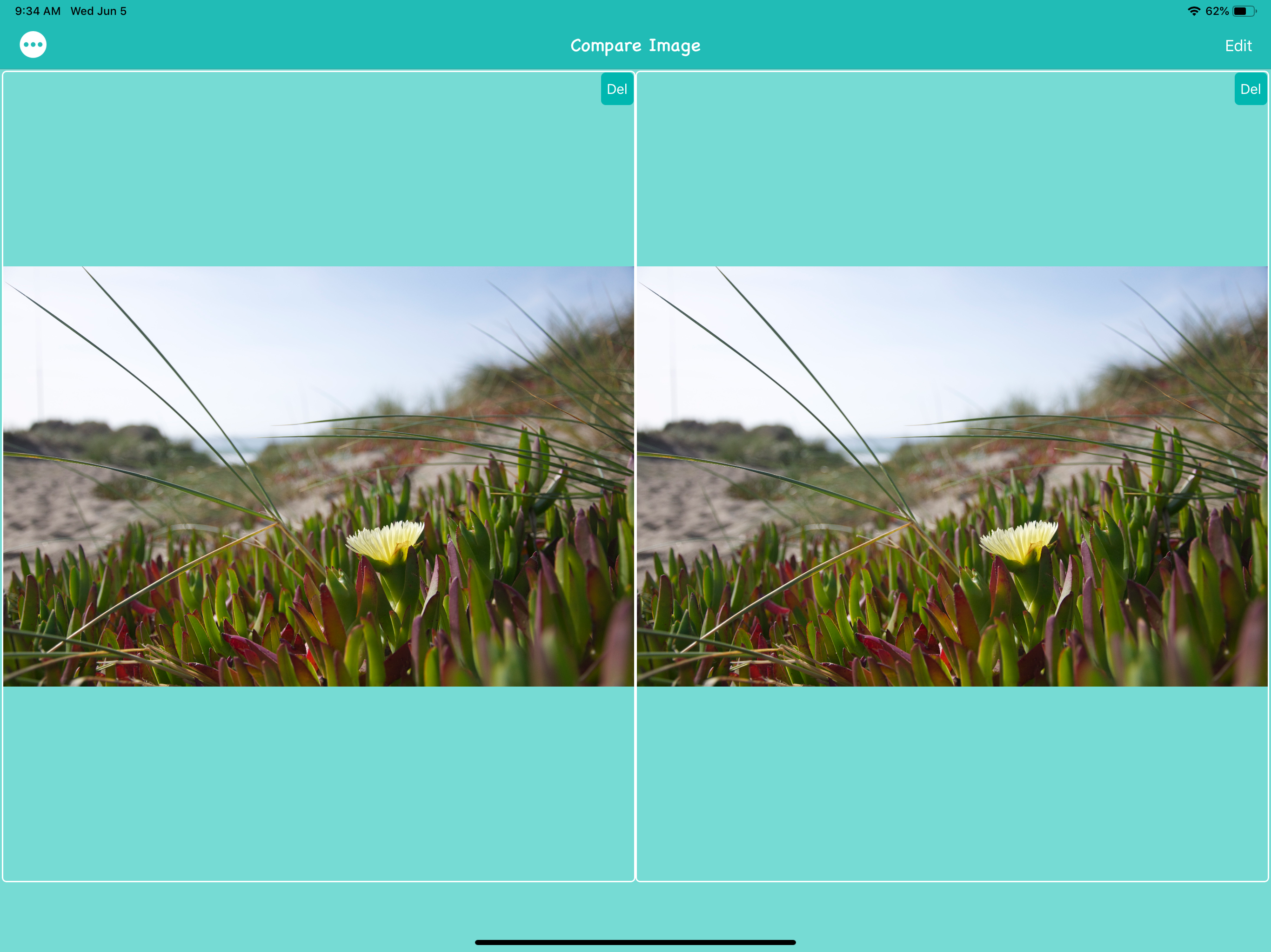 CompareImage