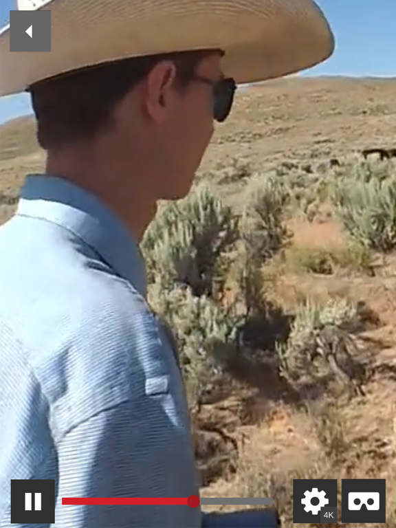 Screenshot #6 pour BEEF360