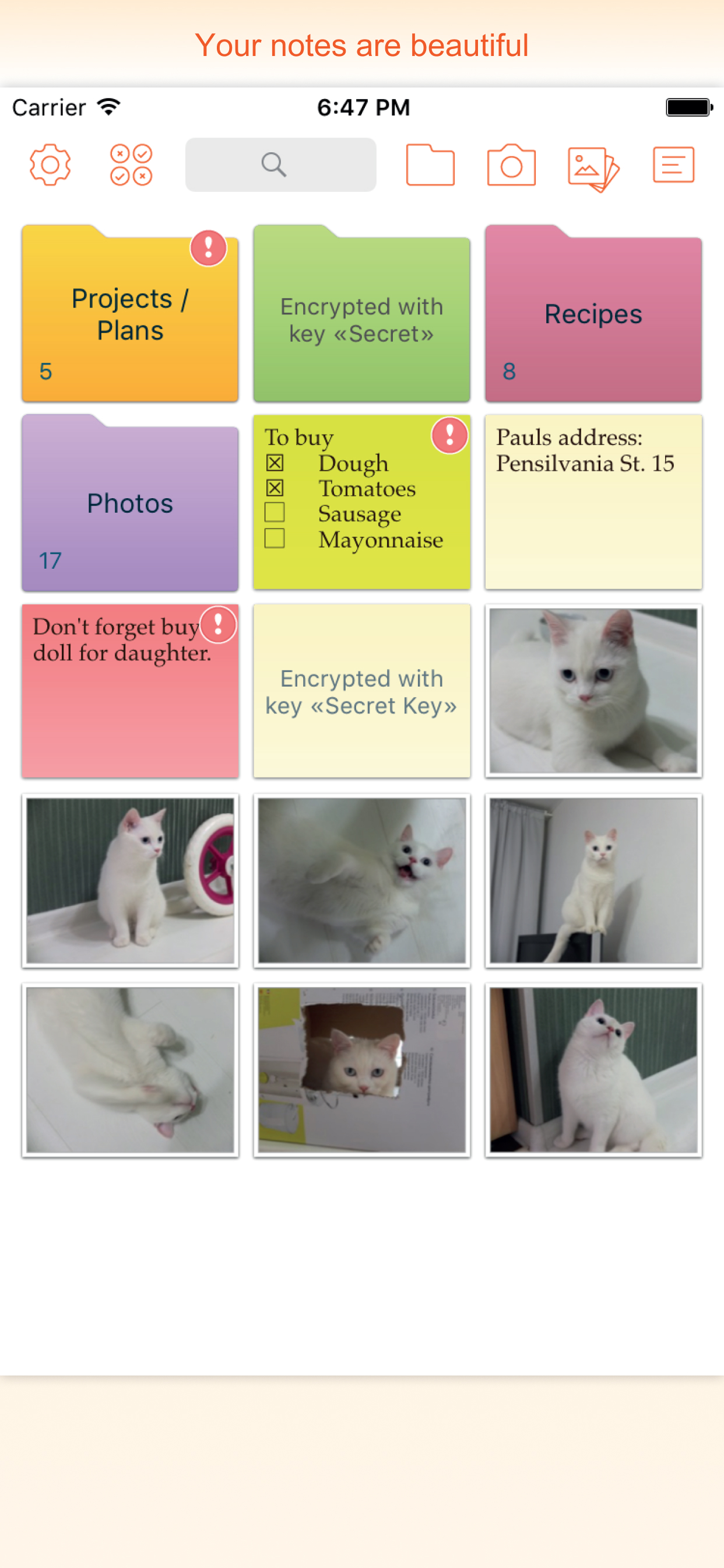 In Folders – Notes and Photos