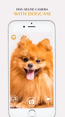 Game screenshot Dog Selfie Camera apk