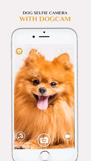 Dog Selfie Camera screenshot 2