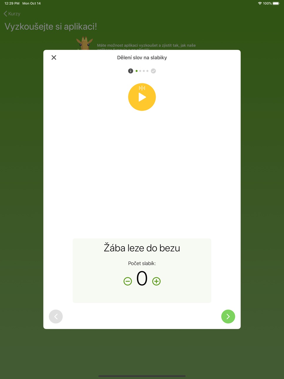 iPad screenshot