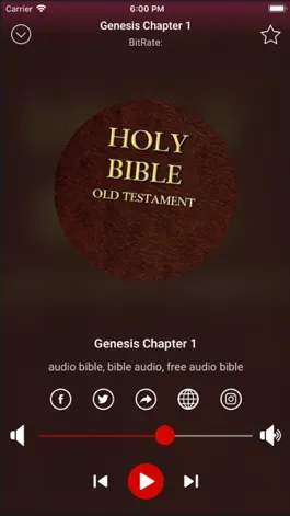 Game screenshot Audio Bible - King James Bible mod apk