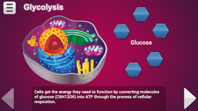 Biology Cellular Respiration P Screenshot