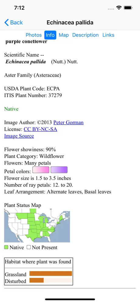 Kansas Wildflowers