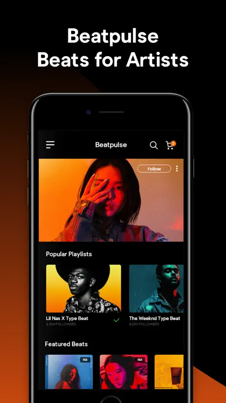 Beatpulse - Beats For Artists