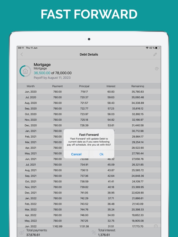 Debt Free Box: Snowball Payoff iPad screenshot 4 - Finance app