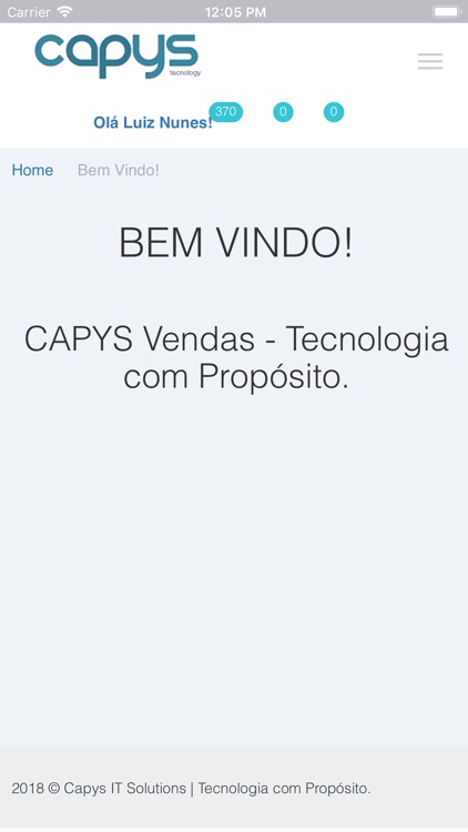 CAPYS VENDAS screenshot-3