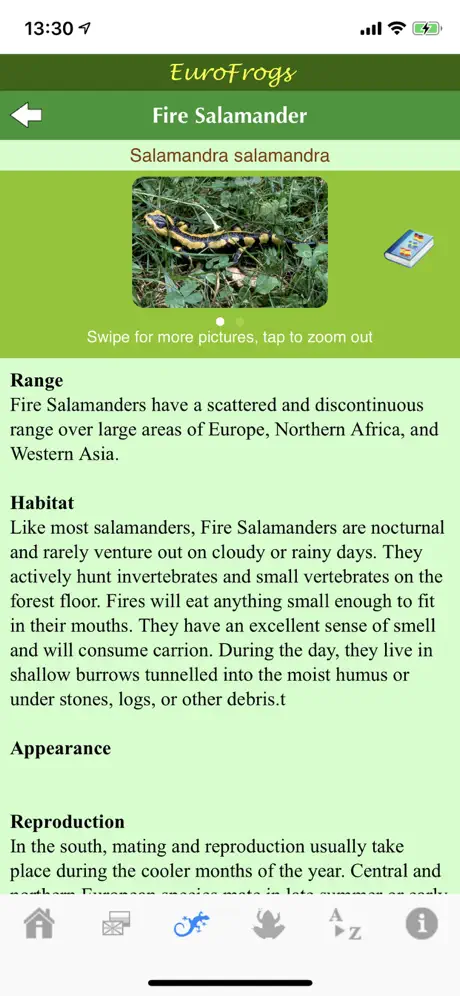 EuroFrogs
