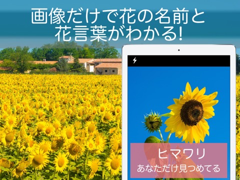 花・植物好きが集まる写真共有・図鑑アプリ, FLOWERYのおすすめ画像1