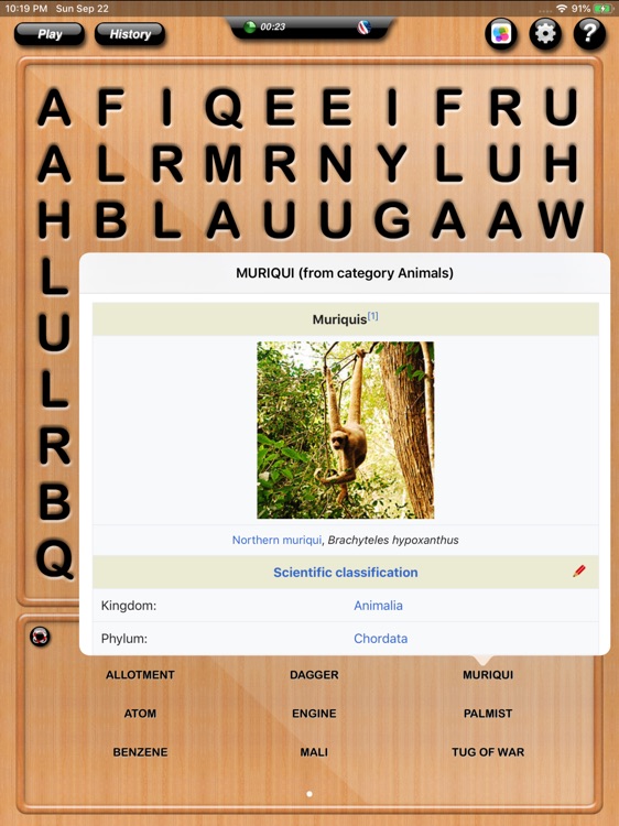 Word Search HD Lite-WordHunter