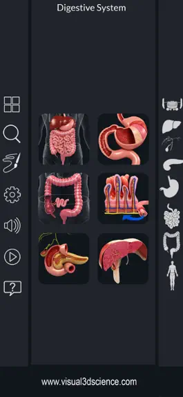 Game screenshot My Digestive System Anatomy mod apk