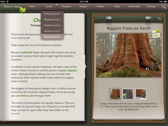 Screenshot #5 pour Pines to Vines - Forest Biome