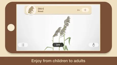 “SOIL“