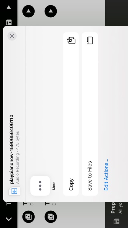 Piano Play Now screenshot-5