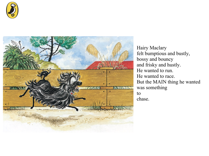 Hairy Maclary Scattercat