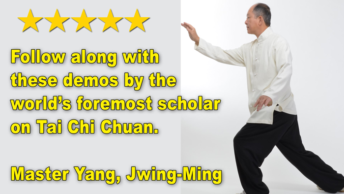 Tai Chi 13 Postures