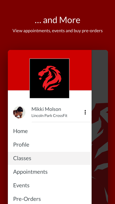 Lincoln Park CrossFit screenshot 4