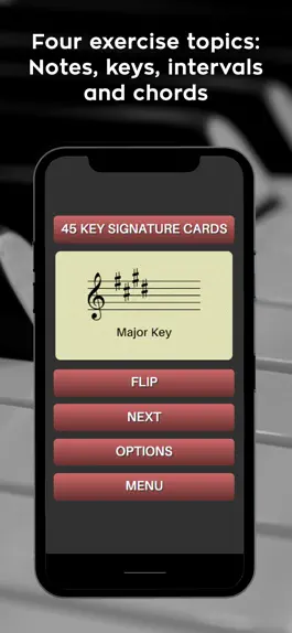 Game screenshot Music Theory and Ear Training apk