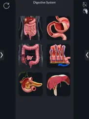 my digestive system anatomy ipad resimleri 1