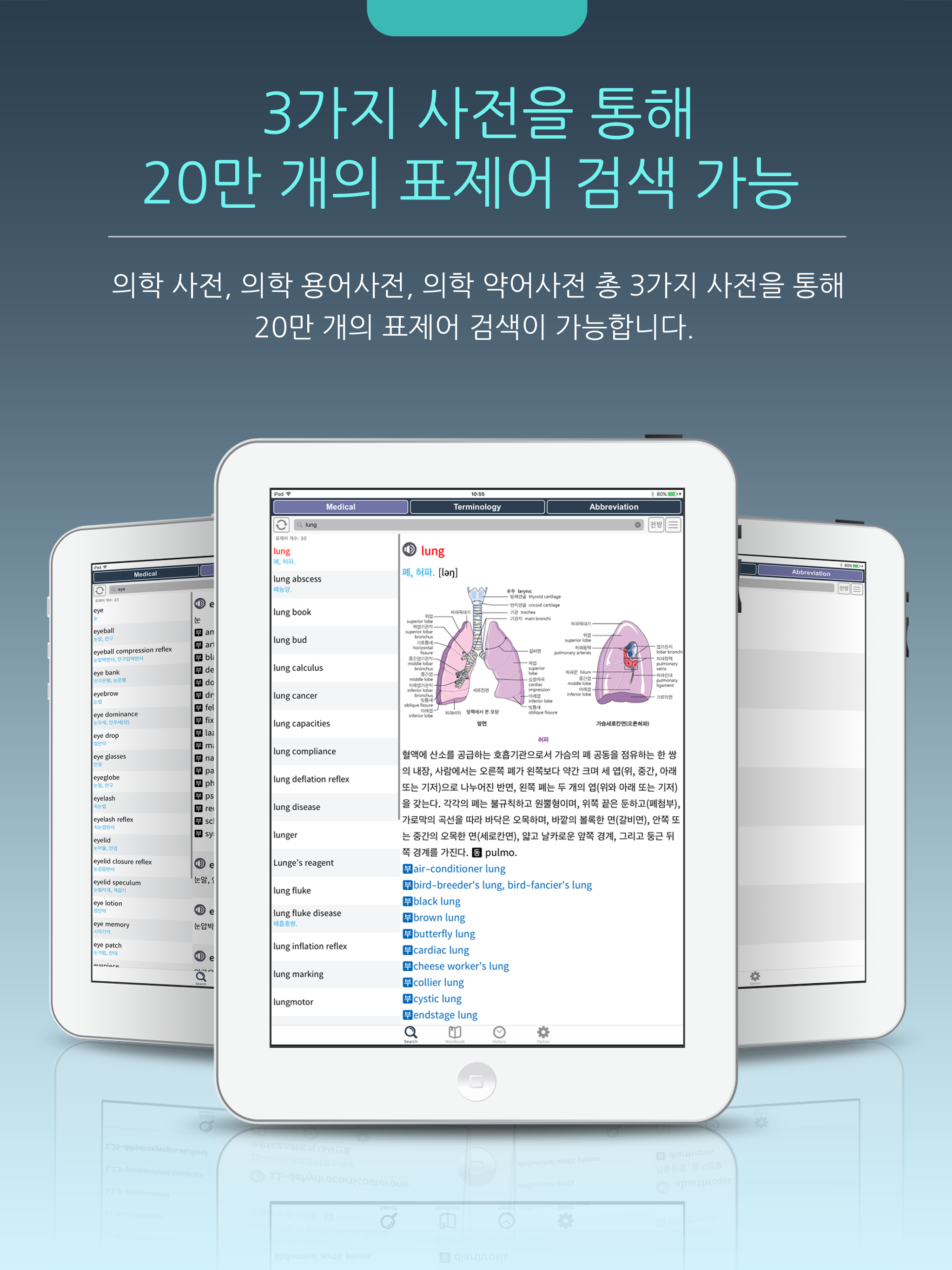 우리말 의학사전 screenshot 6