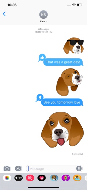 Beagle Bruno(圖4)-速報App