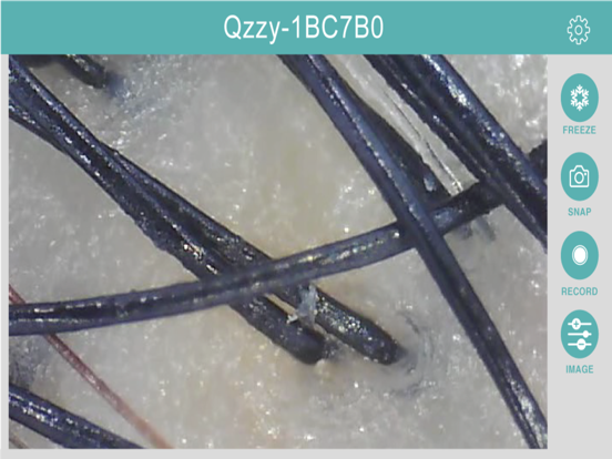 Screenshot #5 pour Qzzy for iPad