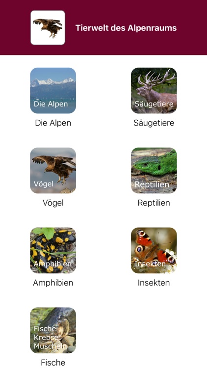 Tierwelt des Alpenraums