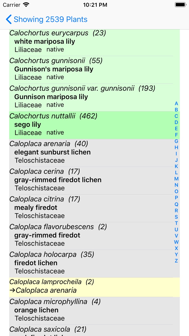 iPhone screenshot