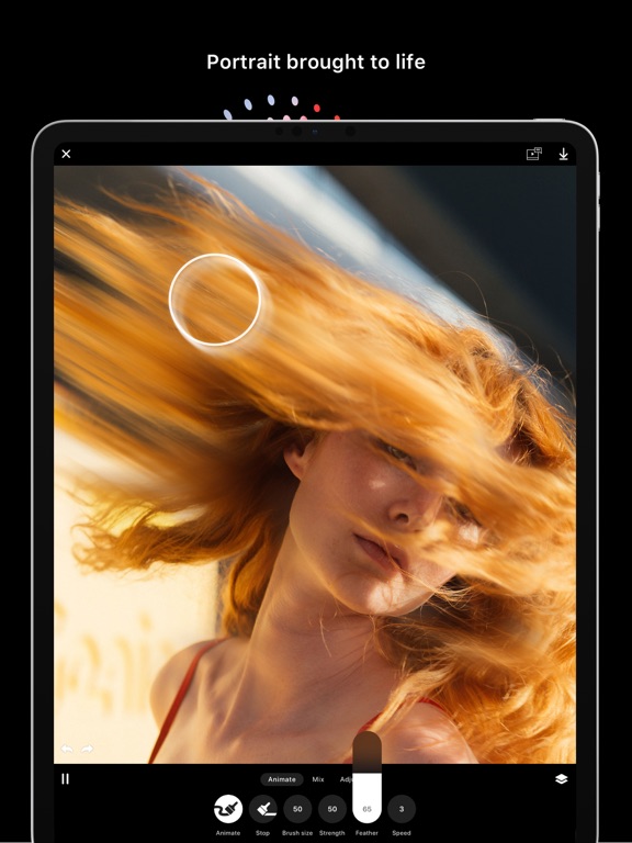 Disflow - Motion Image Editor iPad screenshot 5 - Photo & Video app