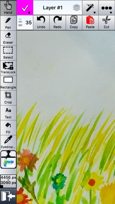 How to cancel & delete Canvas Drawing from iphone & ipad 2