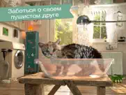 Маленький котенок- Приключения айпад изображения 3